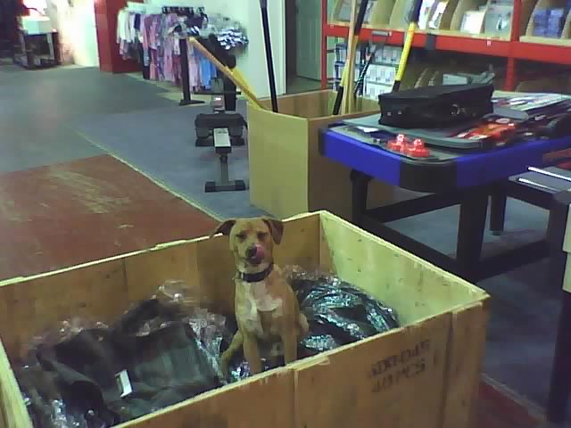 BJake in box