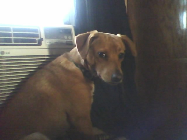 BJake looking over shoulder
